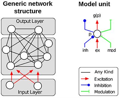 Reversal Learning in Humans and Gerbils: Dynamic Control Network Facilitates Learning